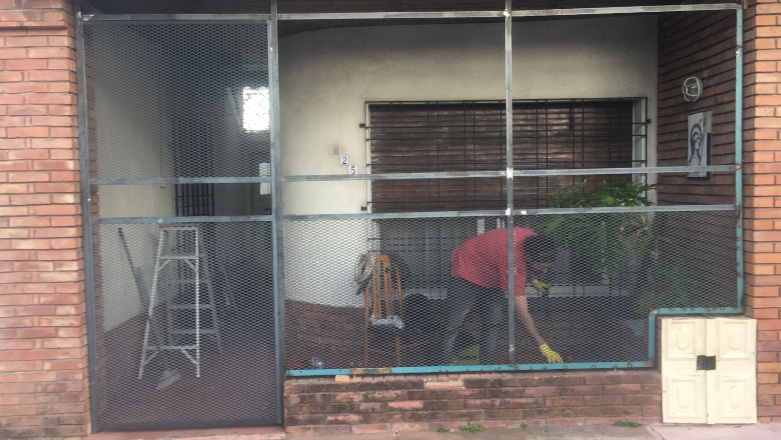 WhatsApp Image 2025-09-11 at 20.49.32.jpeg